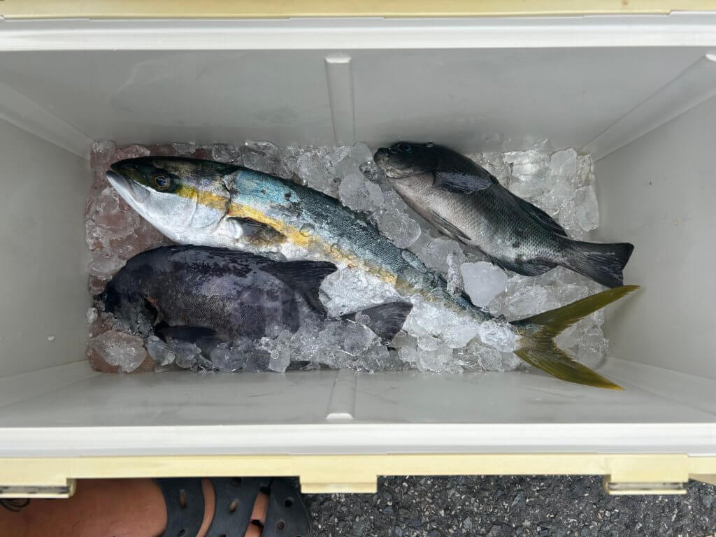 山陰 浜田港 渡船 金時丸 2025年8月4日 波止 釣果報告1