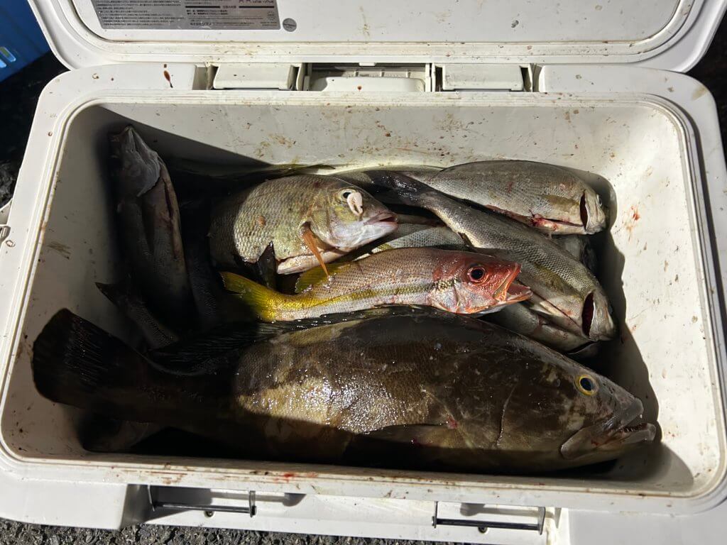 山陰 浜田港 渡船 金時丸 2025年8月24日 波止 釣果報告2