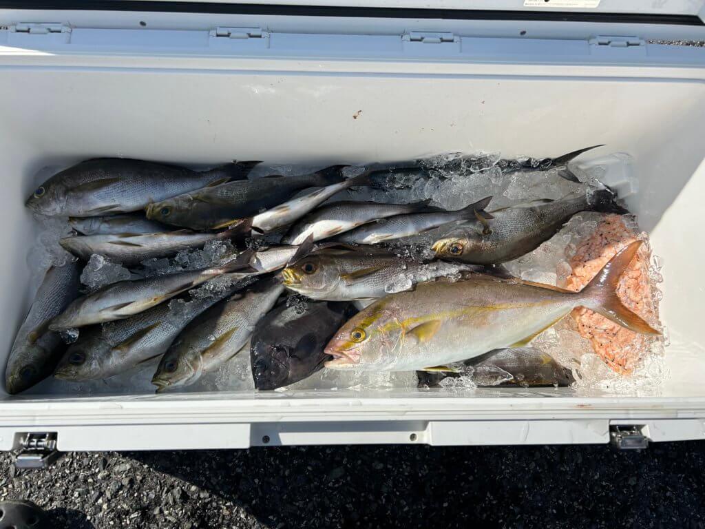 山陰 浜田港 渡船 慶禄 2025年9月15日磯 釣果報告1