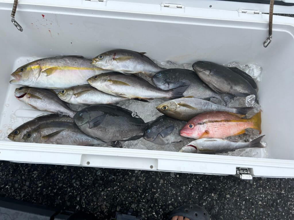 山陰 浜田港 渡船 金時丸 2025年9月23日 波止 釣果報告4