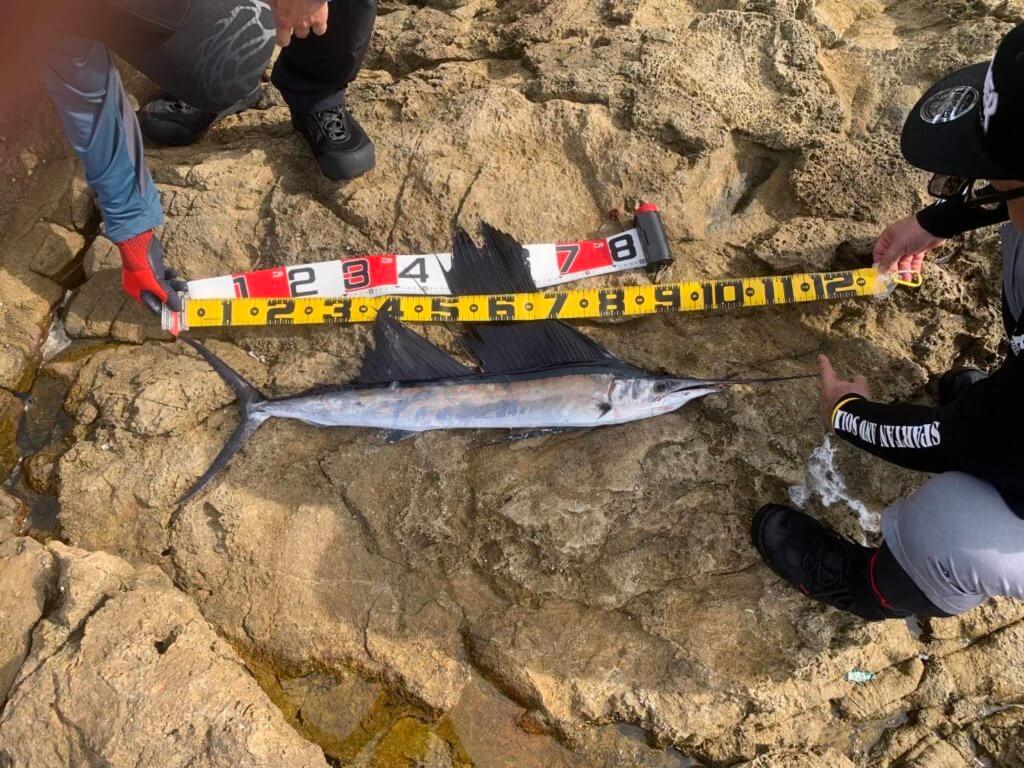 山陰 浜田港 渡船 慶禄 2025年9月24日磯 釣果報告1