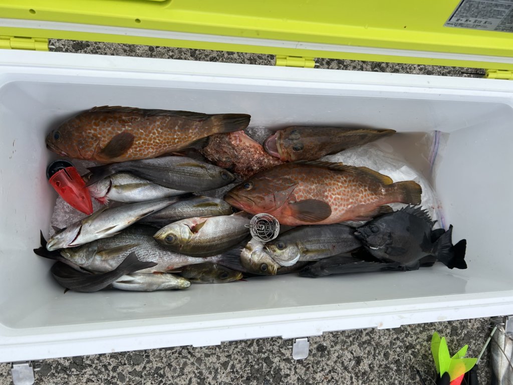 山陰 浜田港 渡船 金時丸 2025年9月28日 波止 釣果報告2