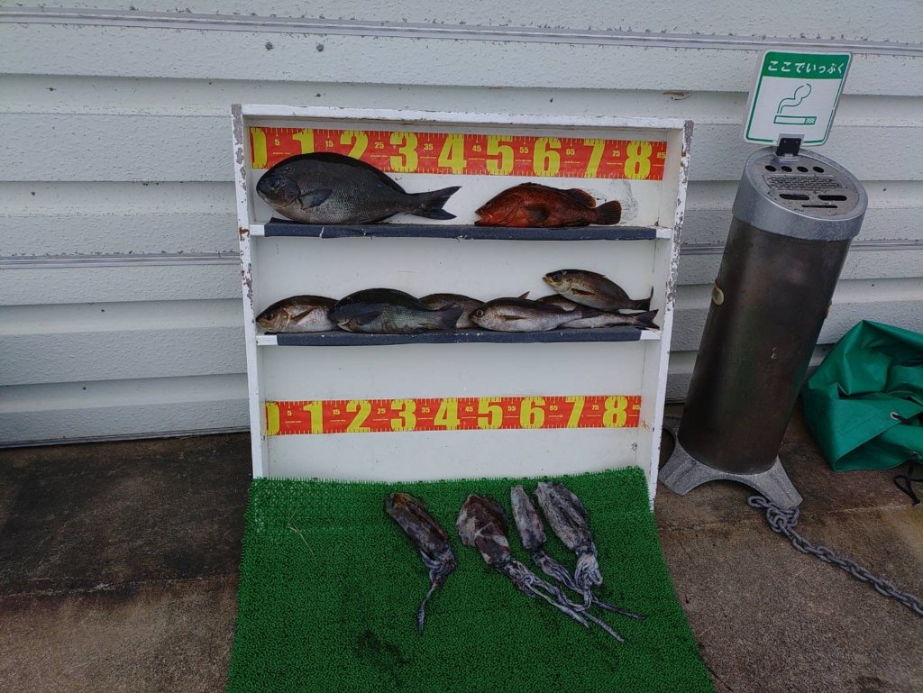 山陰 浜田港 渡船 慶禄 2025年9月28日磯 釣果報告2