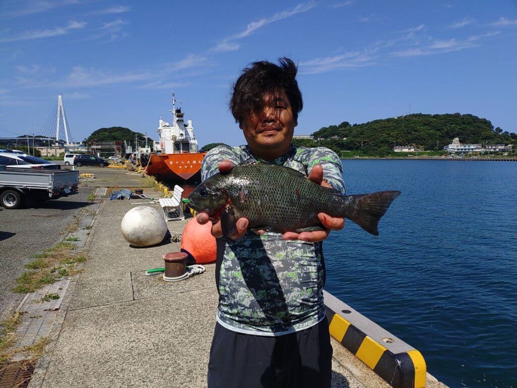 山陰 浜田港 渡船 慶禄 2025年10月1日磯 釣果報告2