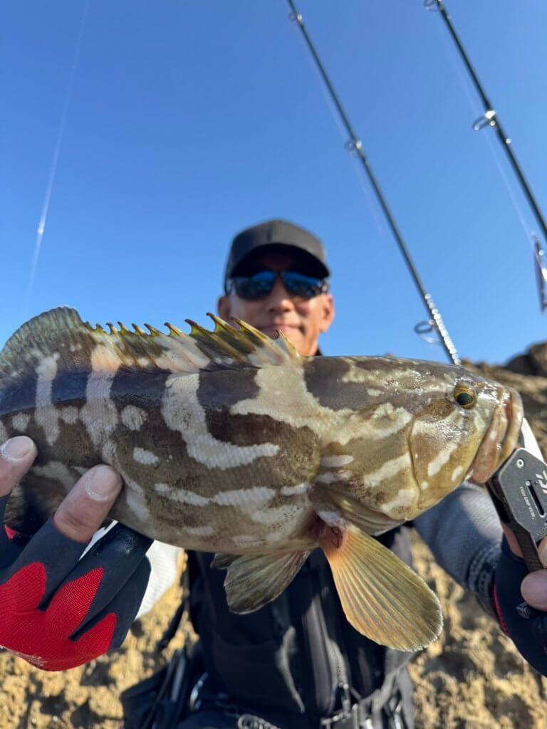 山陰 浜田港 渡船 慶禄 2025年11月8日磯 釣果報告2