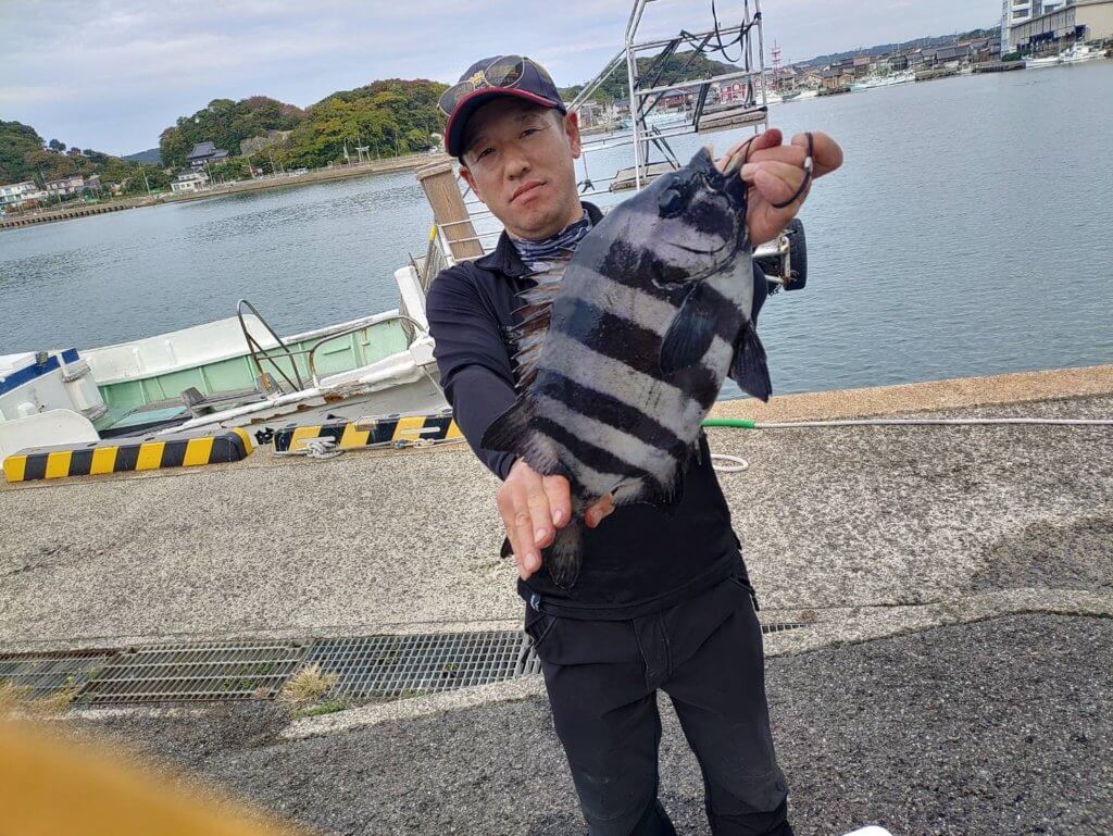 山陰 浜田港 渡船 慶禄 2025年11月8日磯 釣果報告5