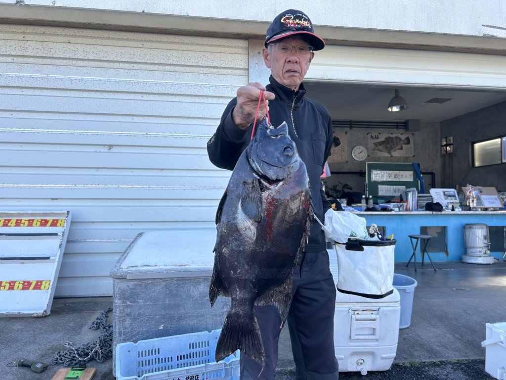 山陰 浜田港 渡船 慶禄 2025年11月16日磯 釣果報告2
