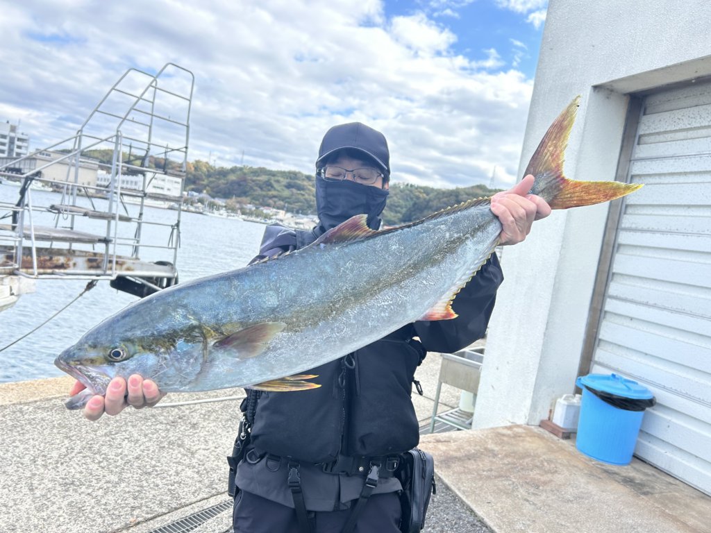 山陰 浜田港 渡船 慶禄 2025年11月30日磯 釣果報告1