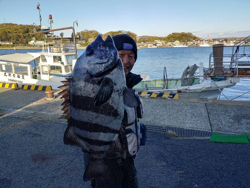 山陰 浜田港 渡船 慶禄 2025年11月30日磯 釣果報告4