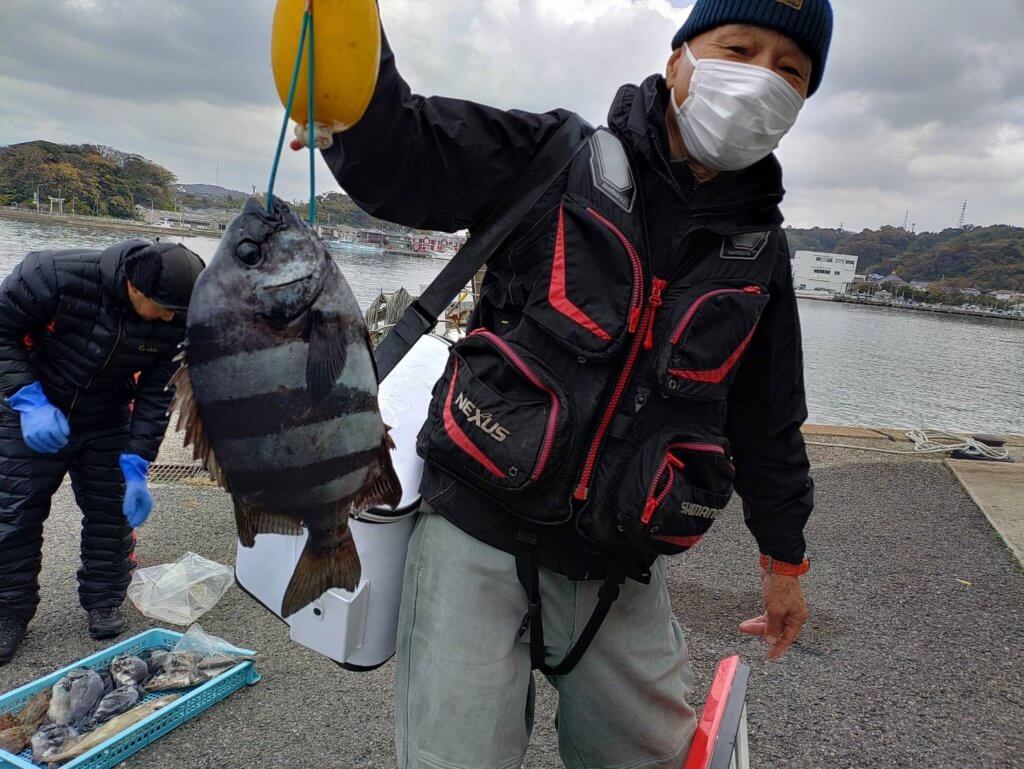 山陰 浜田港 渡船 金時丸 2025年12月2日 波止 釣果報告4