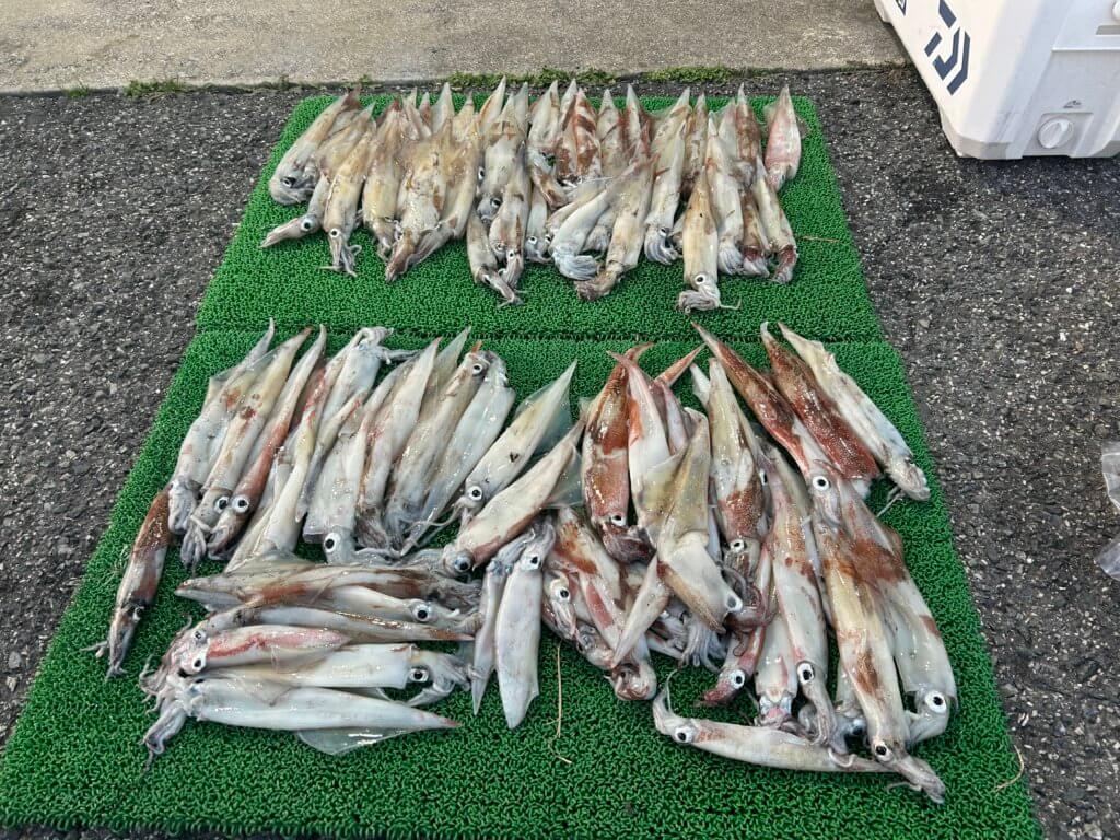 山陰 浜田港 渡船 慶禄 2026年2月14日 磯 釣果報告1