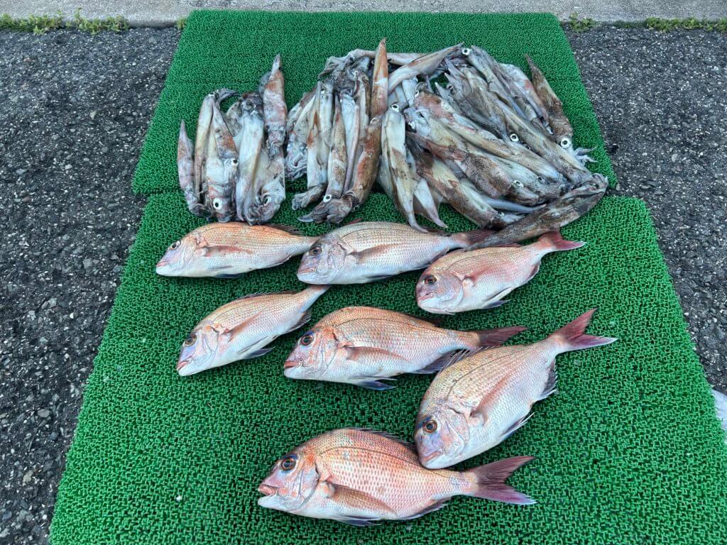 山陰 浜田港 渡船 慶禄 2026年3月12日 磯 釣果報告1