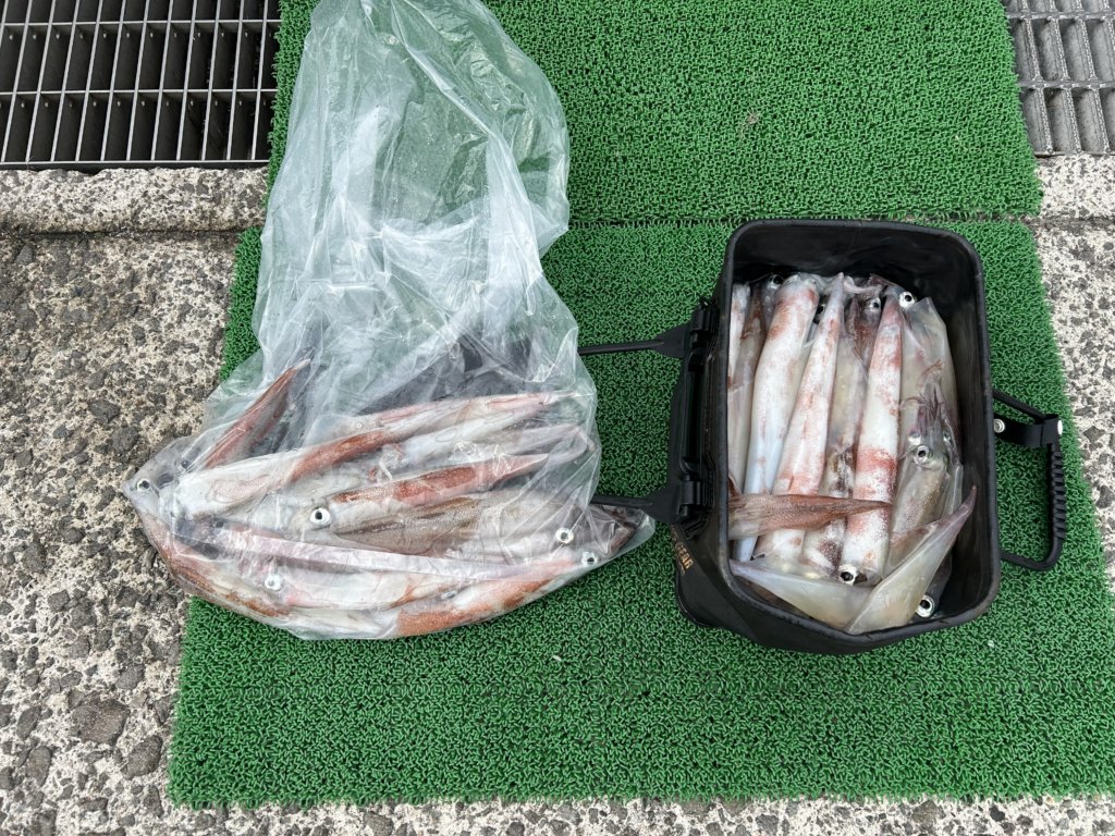 山陰 浜田港 渡船 金時丸 2026年3月22日 波止 釣果報告2